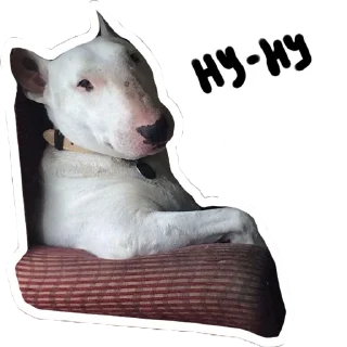 Sticker from Doggo
