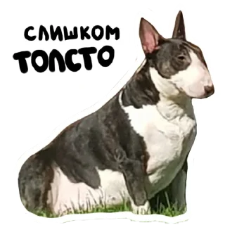 🤨 emoji Doggo Telegram sticker 18 of 32