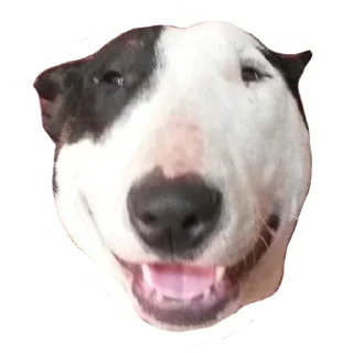 😘 emoji Doggo Telegram sticker 19 of 32