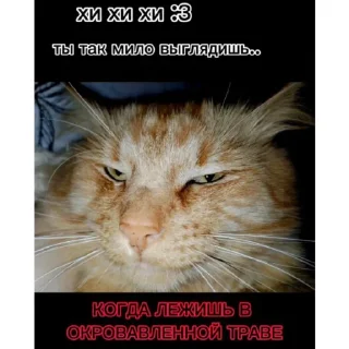 🤭 emoji Милые стикеры^^ Telegram sticker 23 of 28