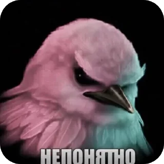 🐦 emoji 🐦 Telegram sticker 12 of 51