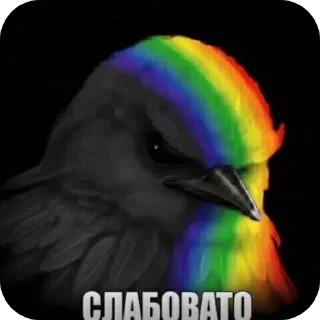 🐦 emoji 🐦 Telegram sticker 13 of 51