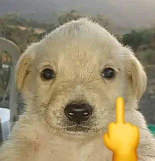 🖕 emoji Puppy Telegram sticker 22 of 34