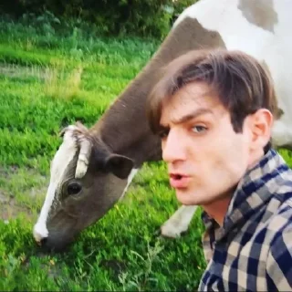 😎 emoji Александр Шепс Telegram sticker 22 of 41