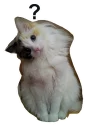 🐱 emoji @TVstickers Kitten Telegram sticker 13 of 120