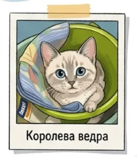 Sticker from Miyata