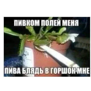 🫥 emoji ультрамегакринж макс про с2009 Telegram sticker 23 of 116