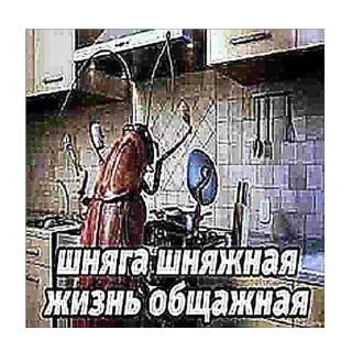 🫥 emoji ультрамегакринж макс про с2009 Telegram sticker 13 of 116