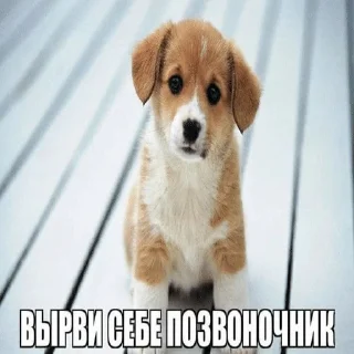 Sticker from ватафак