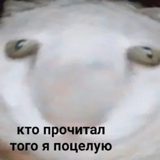 🤭 emoji Мемный случай Telegram sticker 23 of 120