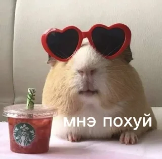 🎭 emoji ебанутые грасс Telegram sticker 1 of 35