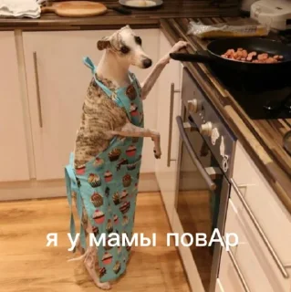 🎭 emoji ебанутые грасс Telegram sticker 3 of 35
