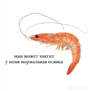 🦐 emoji Эээ чо бля Telegram sticker 18 of 30