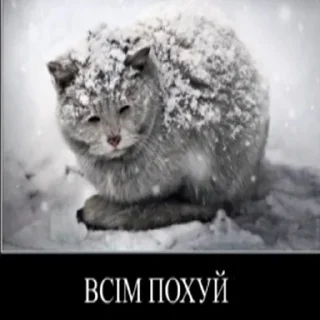 🇺🇦 emoji садок вишневий коло хати Telegram sticker 20 of 120