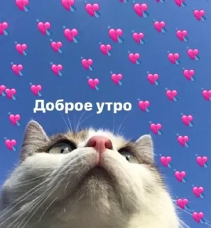 ☀️ emoji М69 Telegram sticker 7 of 120