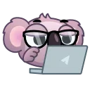 👩‍💻 emoji Koala Emoji @TgSticker Telegram sticker 23 of 24