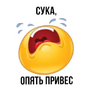 😭 emoji Рпп блять Telegram sticker 14 of 32