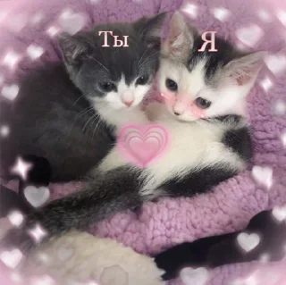 💗 emoji 🐈‍⬛️ @noona_stickers ˓𓄹 ࣪˖ Telegram sticker 1 of 120
