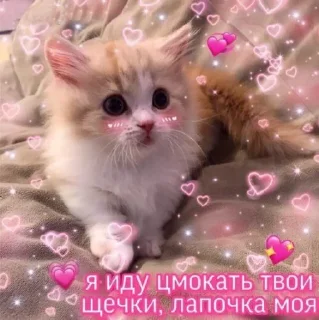 💗 emoji 🐈‍⬛️ @noona_stickers ˓𓄹 ࣪˖ Telegram sticker 7 of 120