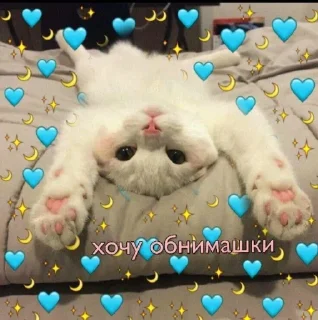 💙 emoji 🐈‍⬛️ @noona_stickers ˓𓄹 ࣪˖ Telegram sticker 4 of 120