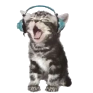 🖼️ emoji для обработки фоток @stiker_bound_sky Telegram sticker 13 of 19