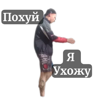 🏖 emoji Денди Telegram sticker 10 of 37