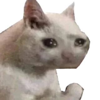 🤙 emoji Стикеры Люси 2.0 Telegram sticker 6 of 39