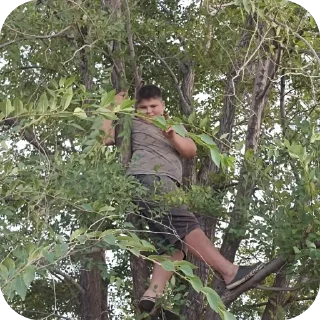 🫥 emoji Опа мусара Telegram sticker 10 of 21