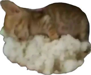 😋 emoji прошу разъеби меня болгаркойх Telegram sticker 13 of 117
