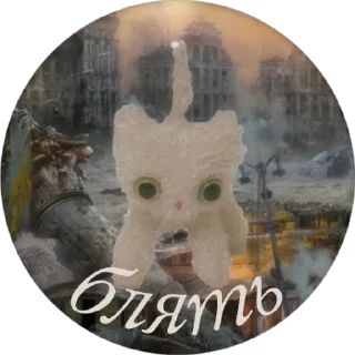 😶 emoji прошу разъеби меня болгаркойх Telegram sticker 6 of 117