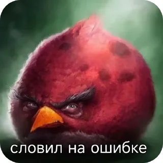 👄 emoji Сборник хуйни и птички Telegram sticker 19 of 117