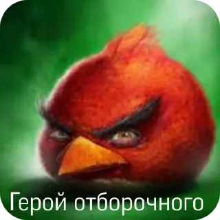🖼 emoji Сборник хуйни и птички Telegram sticker 6 of 117