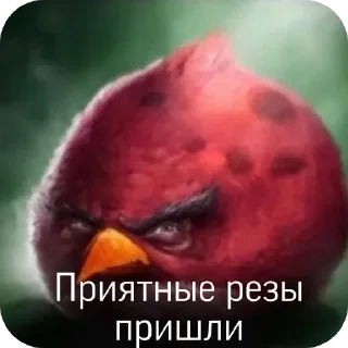 🖼 emoji Сборник хуйни и птички Telegram sticker 21 of 117