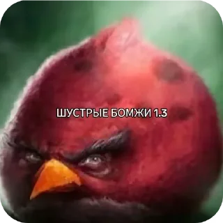 🥰 emoji Сборник хуйни и птички Telegram sticker 18 of 117