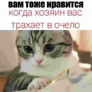 ❤️ emoji Арбуз / @fzule Telegram sticker 6 of 21