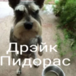 🤔 emoji негры пидорасы Telegram sticker 6 of 15