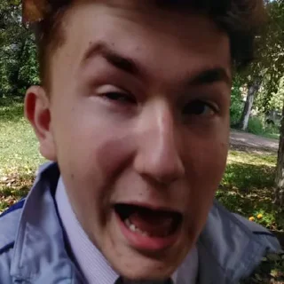 😨 emoji ПЕТРОВ БЛЯТЬ Telegram sticker 11 of 34