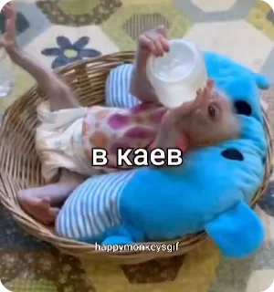 🐵 emoji Хепи монкис стикиры от @happymonkeysgif Telegram sticker 13 of 64