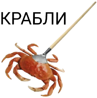 🦀 emoji Шо? Telegram sticker 2 of 72