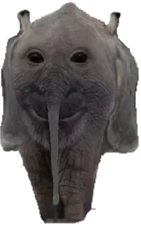 🌚 emoji Шо? Telegram sticker 5 of 72