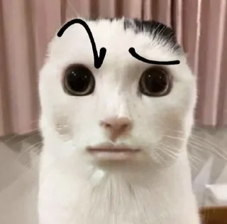 🌟 emoji Милый Китти by @vatrushk4 Telegram sticker 10 of 16