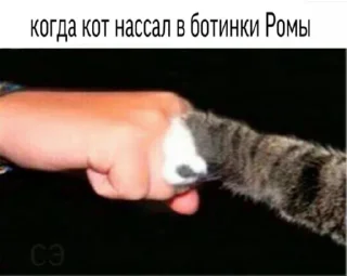 🙏 emoji линка топ Telegram sticker 23 of 45