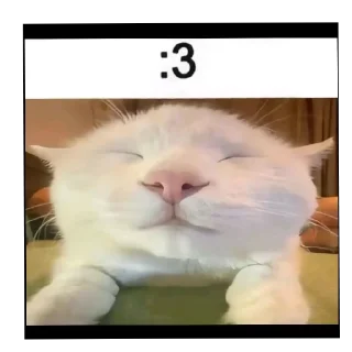 🐱 emoji Коко пак Telegram sticker 8 of 58