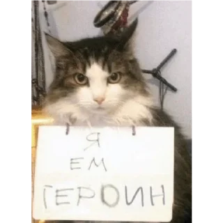 🥰 emoji ибать таво в рот. Telegram sticker 15 of 71