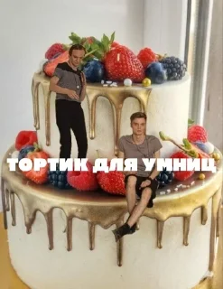 🎂 emoji ЭлектрООО ОБЩЕНИЕ Telegram sticker 20 of 92