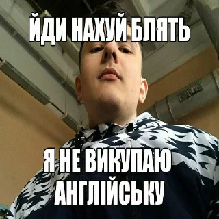 🖕 emoji Солянка, похуй же да Telegram sticker 16 of 107