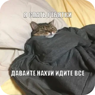🐱 emoji ДАЛБАЕБ Telegram sticker 14 of 120