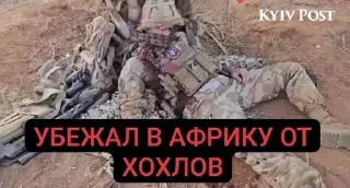 🌟 emoji МЕРТВІ РУСЬКІ СВИНІ Telegram sticker 17 of 29
