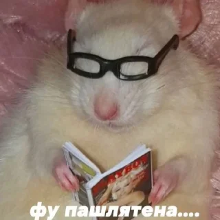 😏 emoji Феечки Винкс Telegram sticker 8 of 15