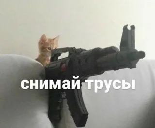 💣 emoji Мило. Telegram sticker 21 of 120